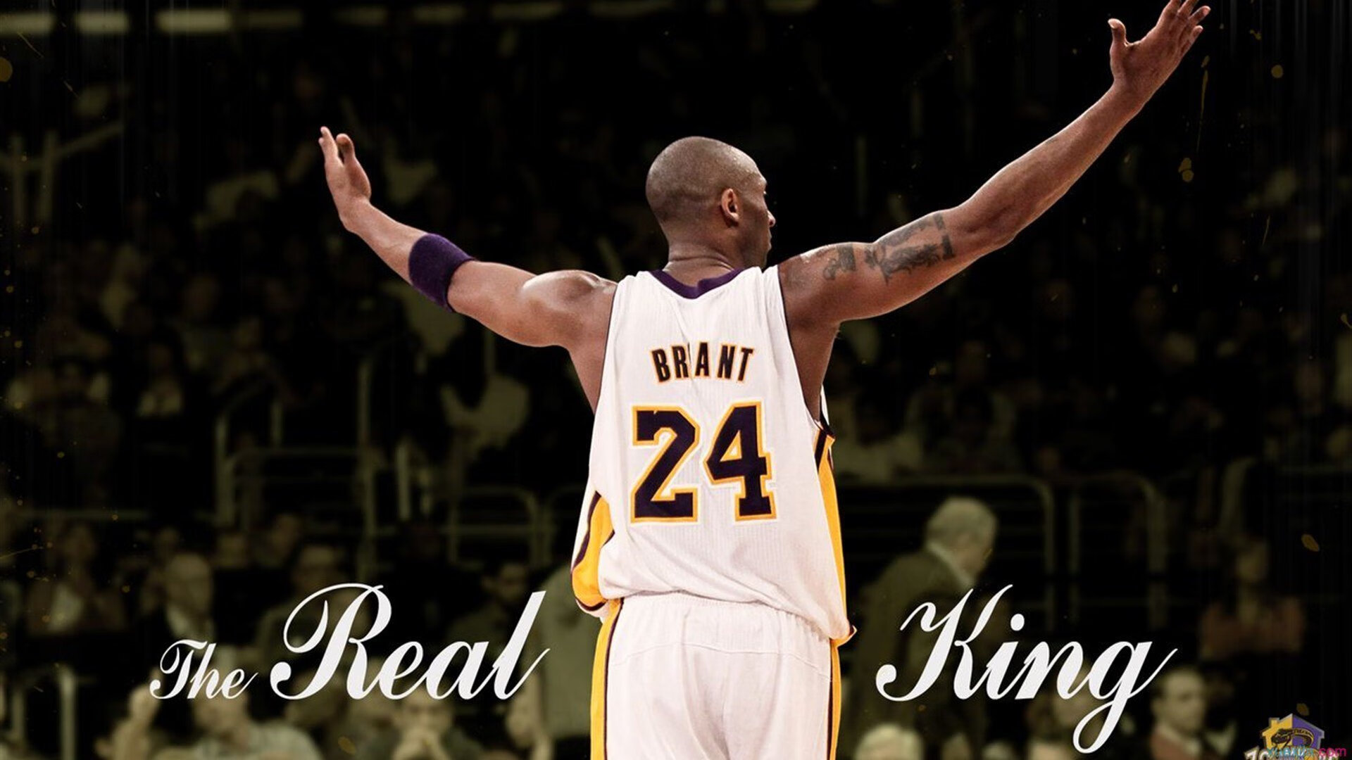 【赛事播报】直播全程解说，精彩不容错过，高清赛事直播